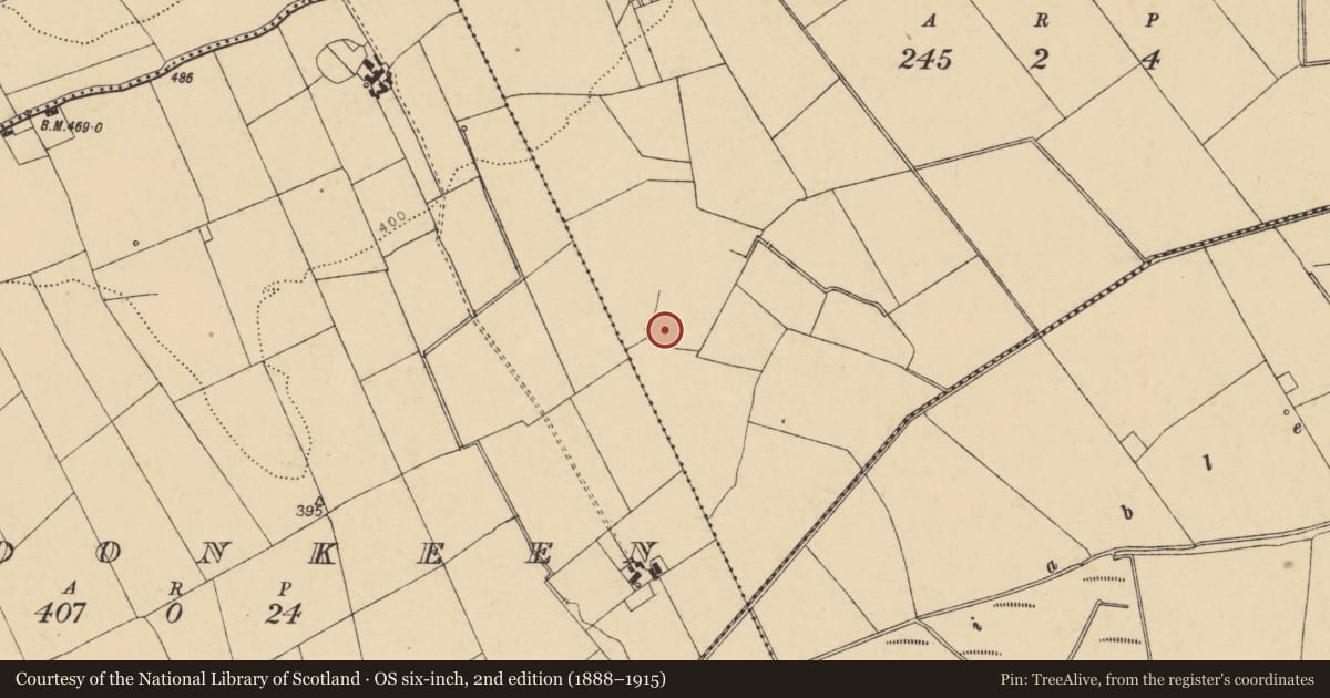 Ordnance Survey six-inch map, 2nd edition (1888–1915) covering the location of Ringfort - rath, Fiddane, County Cork, with a pin at the register's coordinates