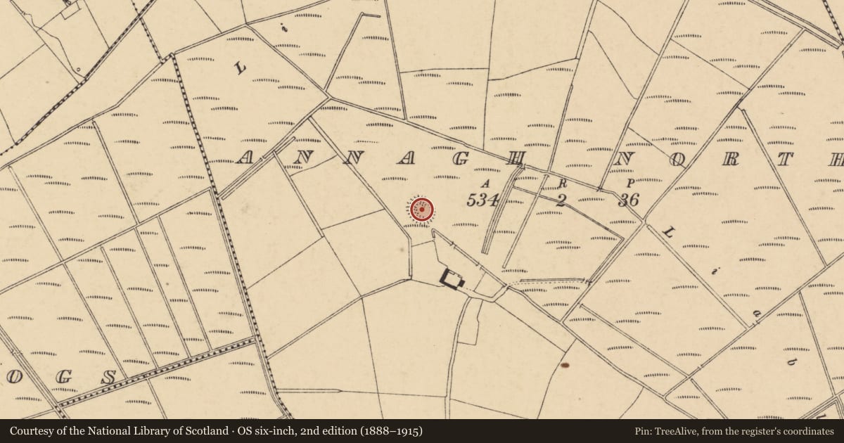 Ordnance Survey six-inch map, 2nd edition (1888–1915) covering the location of Ringfort - rath, Annagh North, County Cork, with a pin at the register's coordinates