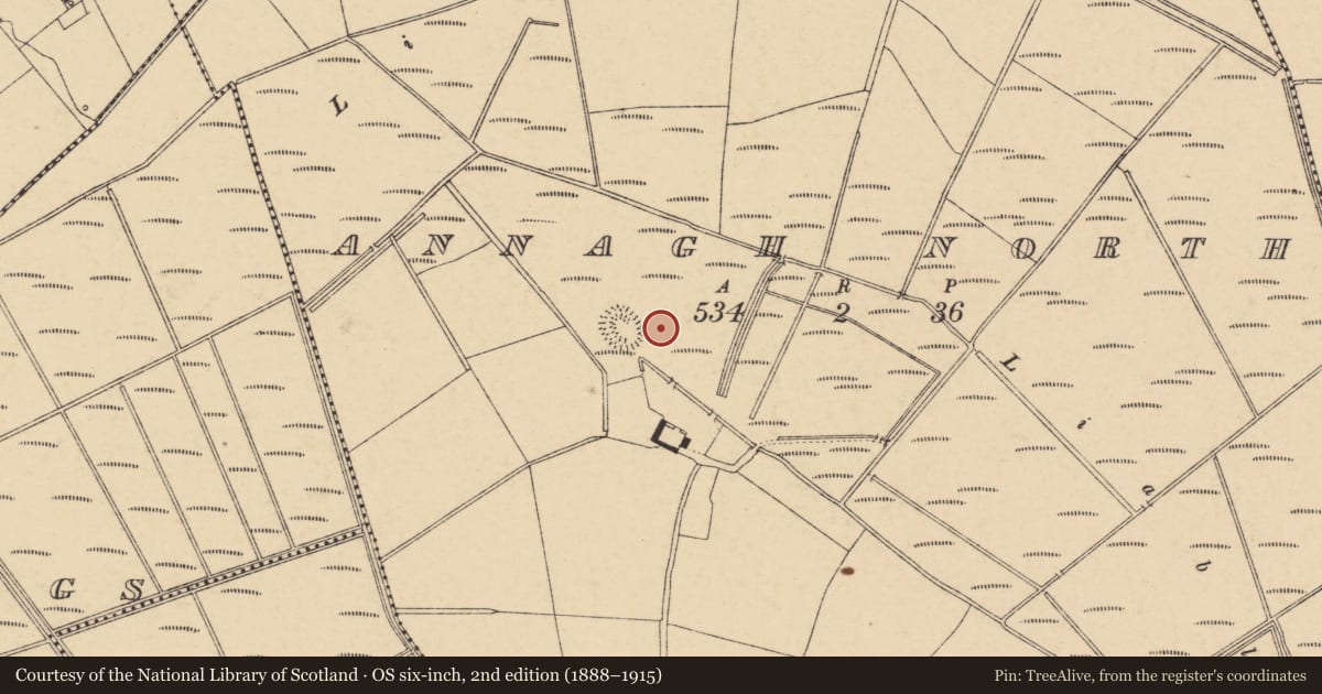 Ordnance Survey six-inch map, 2nd edition (1888–1915) covering the location of Enclosure, Annagh North, County Cork, with a pin at the register's coordinates