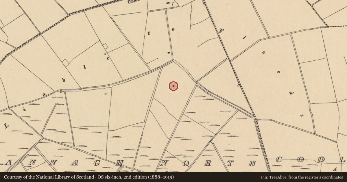 Ordnance Survey six-inch map, 2nd edition (1888–1915) covering the location of Enclosure, Annagh North, County Cork, with a pin at the register's coordinates