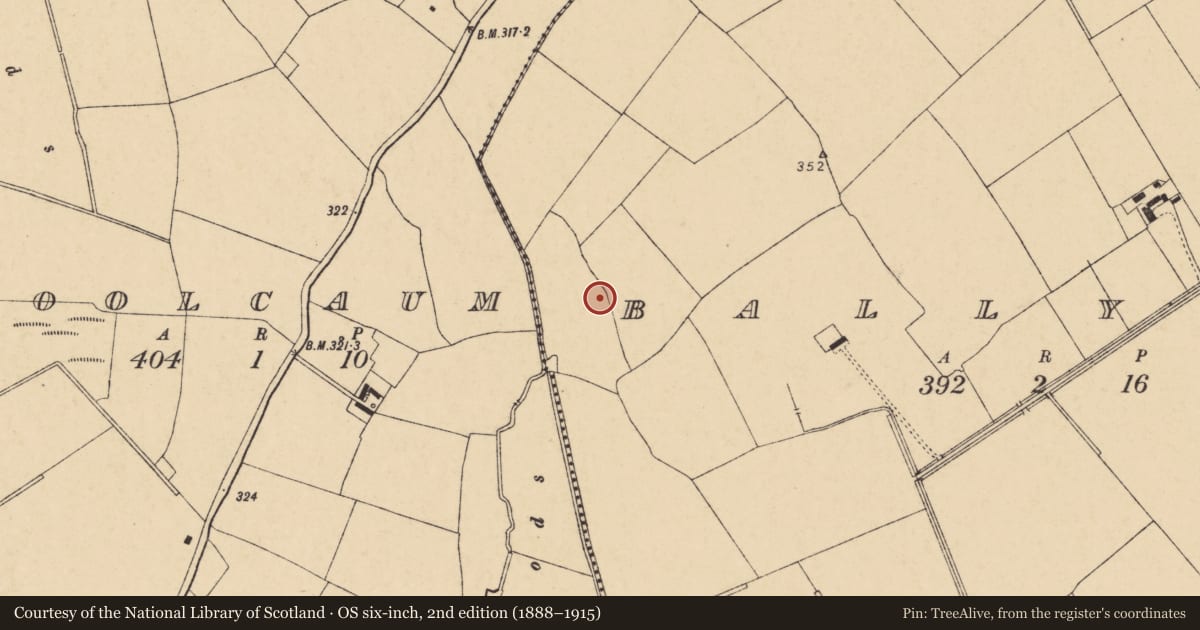 Ordnance Survey six-inch map, 2nd edition (1888–1915) covering the location of Enclosure, Ballyroe, County Cork, with a pin at the register's coordinates