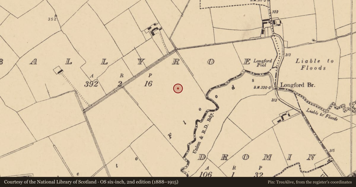 Ordnance Survey six-inch map, 2nd edition (1888–1915) covering the location of Quarry, Ballyroe, County Cork, with a pin at the register's coordinates