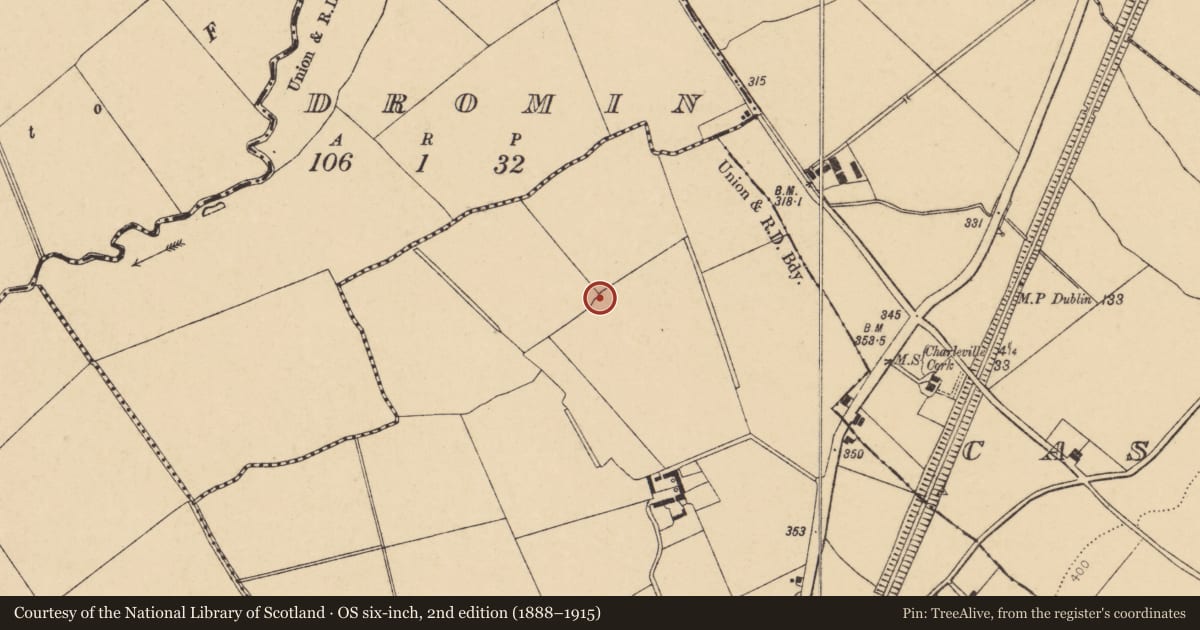 Ordnance Survey six-inch map, 2nd edition (1888–1915) covering the location of Ringfort - rath, Shinanagh, County Cork, with a pin at the register's coordinates