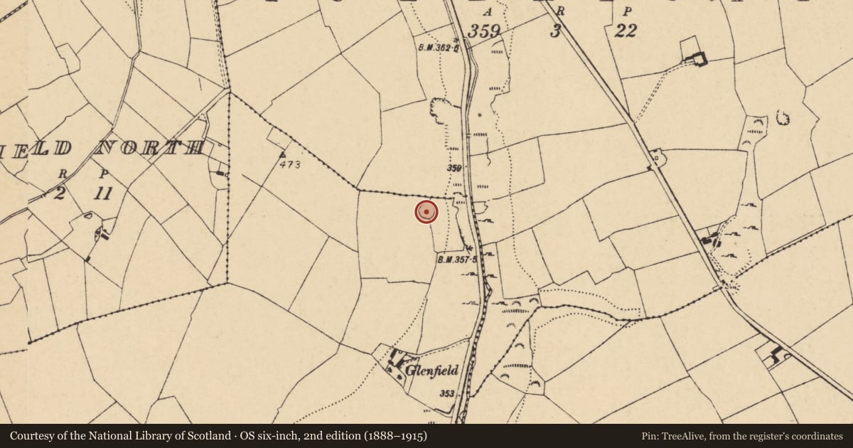 Ordnance Survey six-inch map, 2nd edition (1888–1915) covering the location of Ringfort - rath, Glenfield South, County Cork, with a pin at the register's coordinates