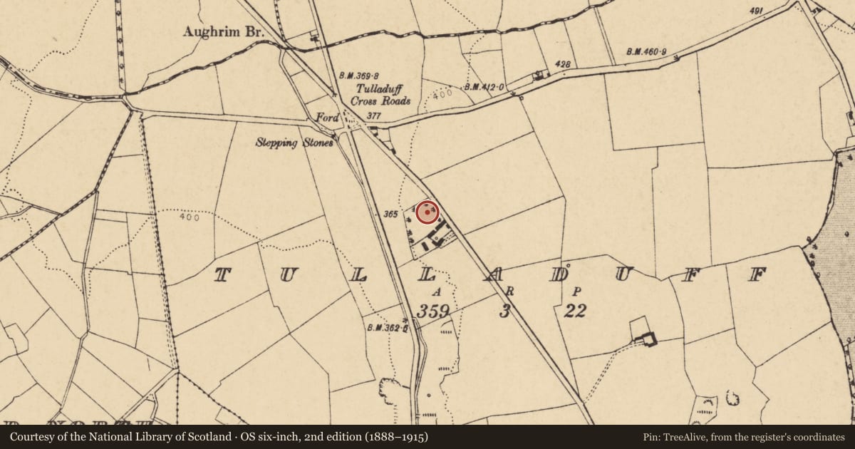Ordnance Survey six-inch map, 2nd edition (1888–1915) covering the location of Ringfort - rath, Tulladuff, County Cork, with a pin at the register's coordinates