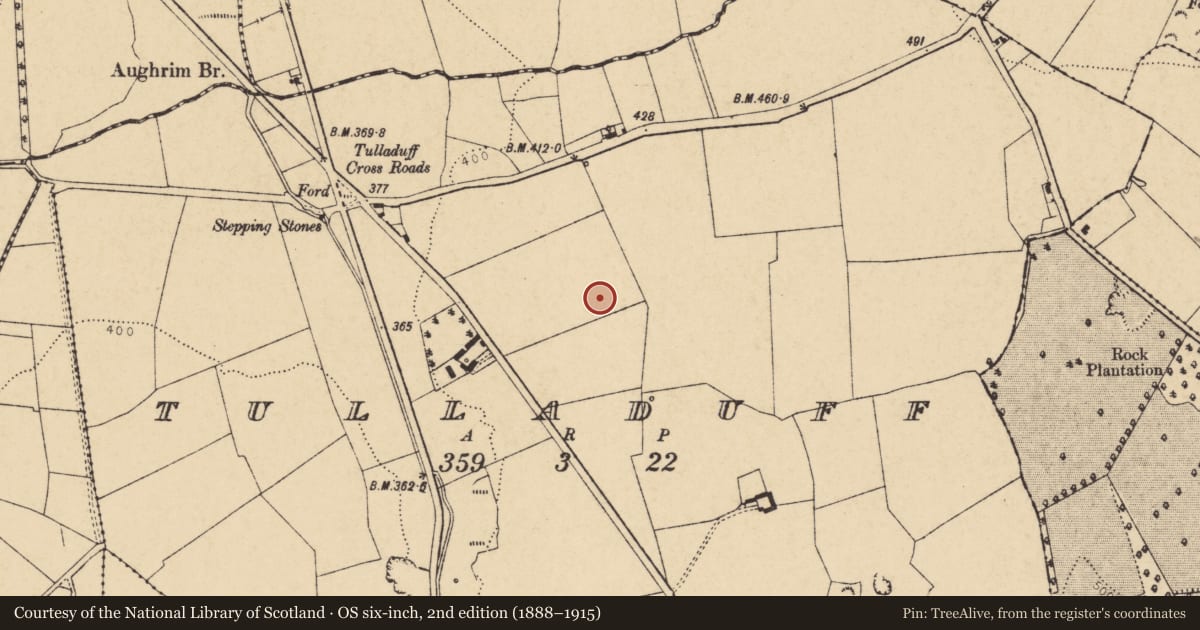 Ordnance Survey six-inch map, 2nd edition (1888–1915) covering the location of Ringfort - rath, Tulladuff, County Cork, with a pin at the register's coordinates