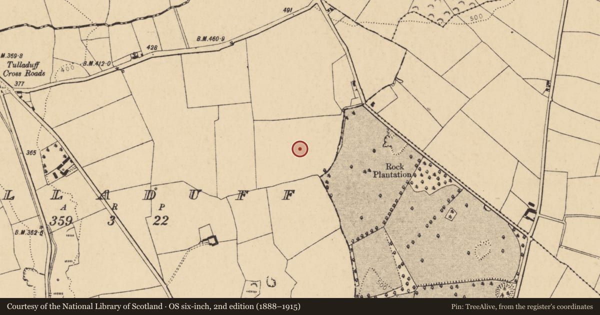 Ordnance Survey six-inch map, 2nd edition (1888–1915) covering the location of Fulacht fia, Tulladuff, County Cork, with a pin at the register's coordinates