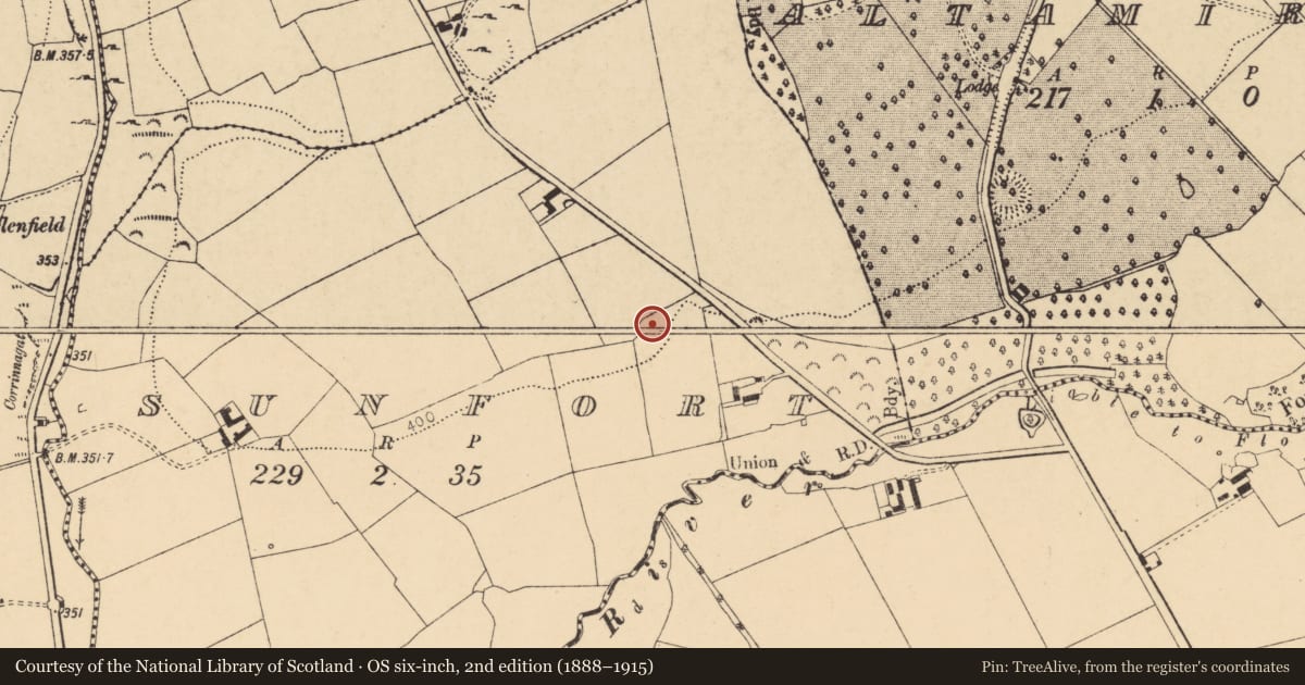 Ordnance Survey six-inch map, 2nd edition (1888–1915) covering the location of Ringfort - rath, Sunfort, County Cork, with a pin at the register's coordinates