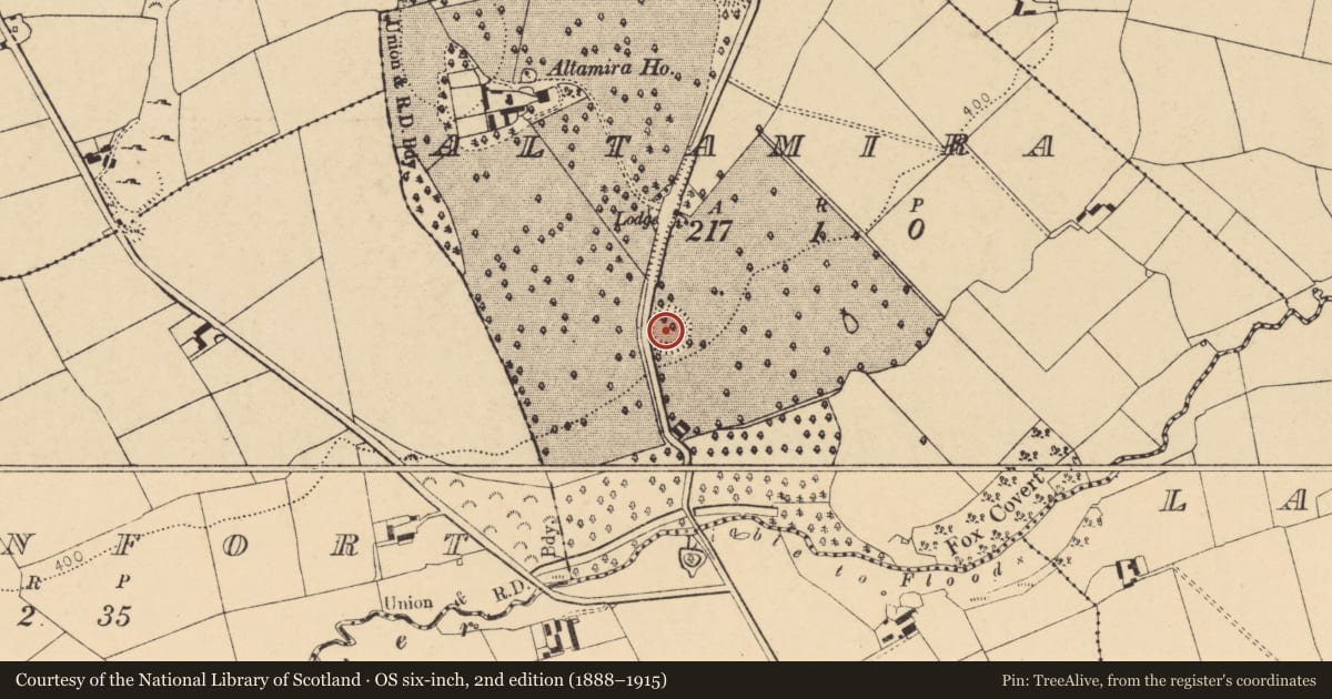 Ordnance Survey six-inch map, 2nd edition (1888–1915) covering the location of Ringfort - rath, Altamira, County Cork, with a pin at the register's coordinates