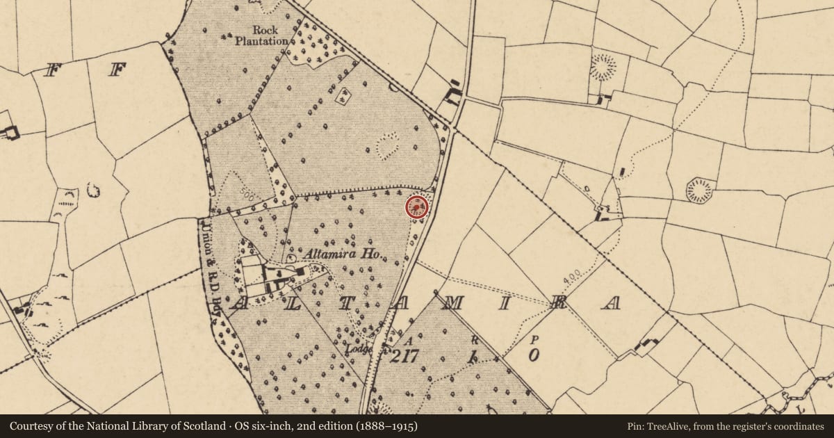 Ordnance Survey six-inch map, 2nd edition (1888–1915) covering the location of Ringfort - rath, Altamira, County Cork, with a pin at the register's coordinates