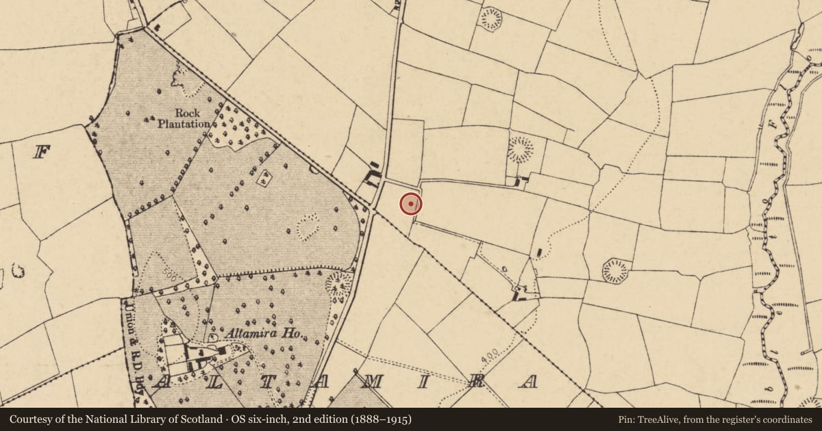 Ordnance Survey six-inch map, 2nd edition (1888–1915) covering the location of Enclosure, Moyge, County Cork, with a pin at the register's coordinates