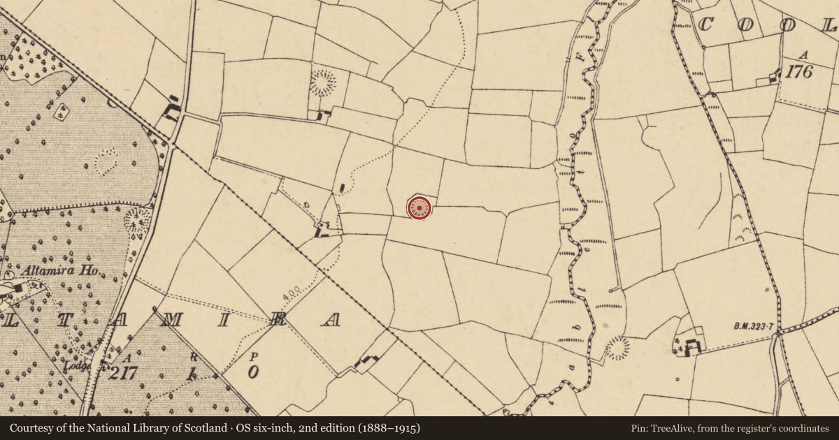 Ordnance Survey six-inch map, 2nd edition (1888–1915) covering the location of Ringfort - rath, Moyge, County Cork, with a pin at the register's coordinates