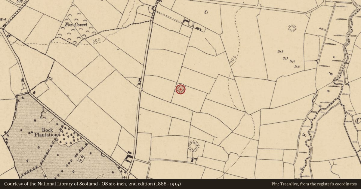 Ordnance Survey six-inch map, 2nd edition (1888–1915) covering the location of Ringfort - rath, Moyge, County Cork, with a pin at the register's coordinates