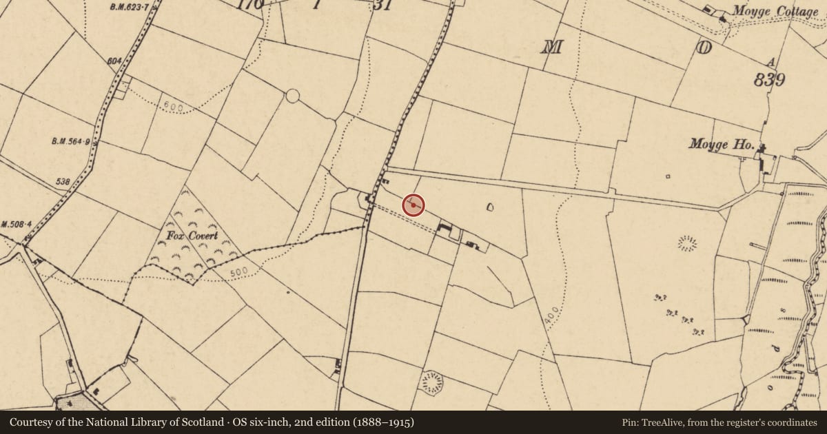 Ordnance Survey six-inch map, 2nd edition (1888–1915) covering the location of Standing stone, Moyge, County Cork, with a pin at the register's coordinates