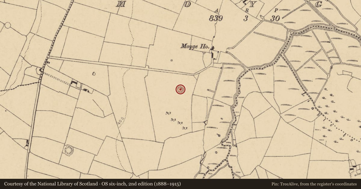 Ordnance Survey six-inch map, 2nd edition (1888–1915) covering the location of Enclosure, Moyge, County Cork, with a pin at the register's coordinates