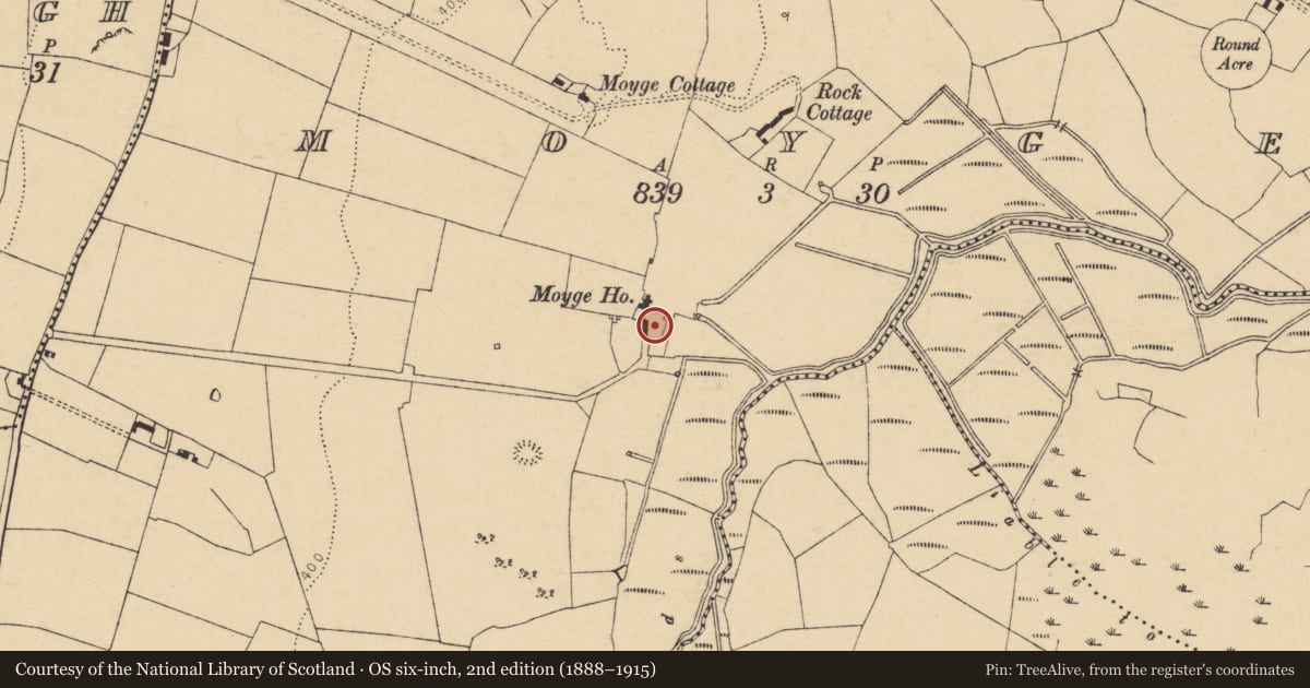 Ordnance Survey six-inch map, 2nd edition (1888–1915) covering the location of Country house, Moyge, County Cork, with a pin at the register's coordinates