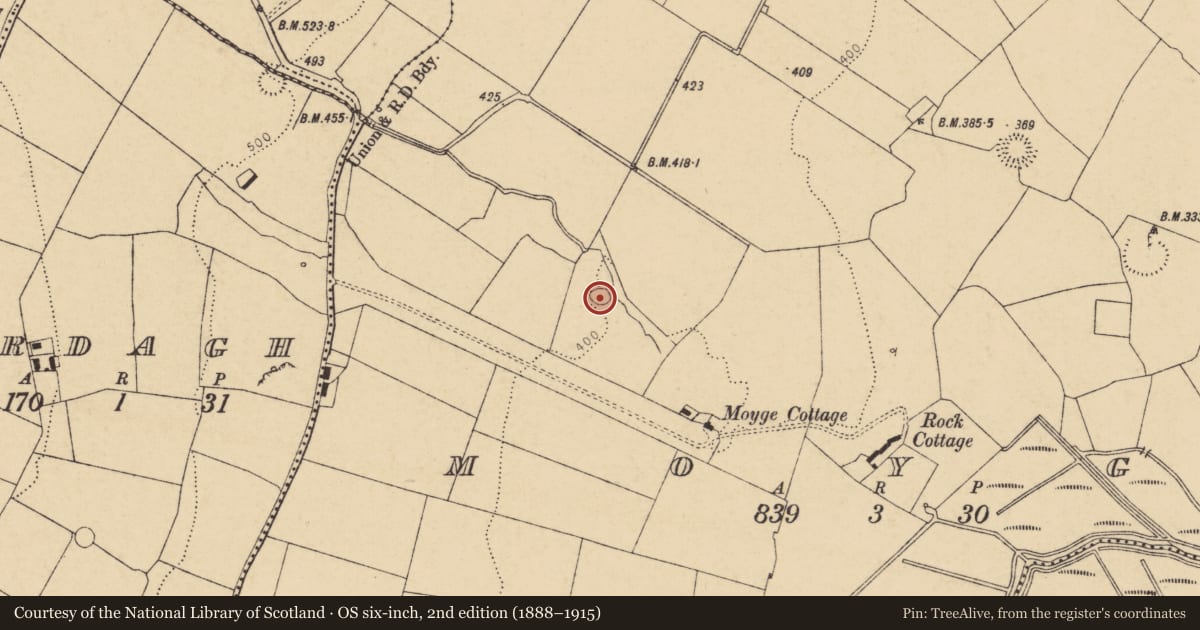 Ordnance Survey six-inch map, 2nd edition (1888–1915) covering the location of Ringfort - rath, Moyge, County Cork, with a pin at the register's coordinates