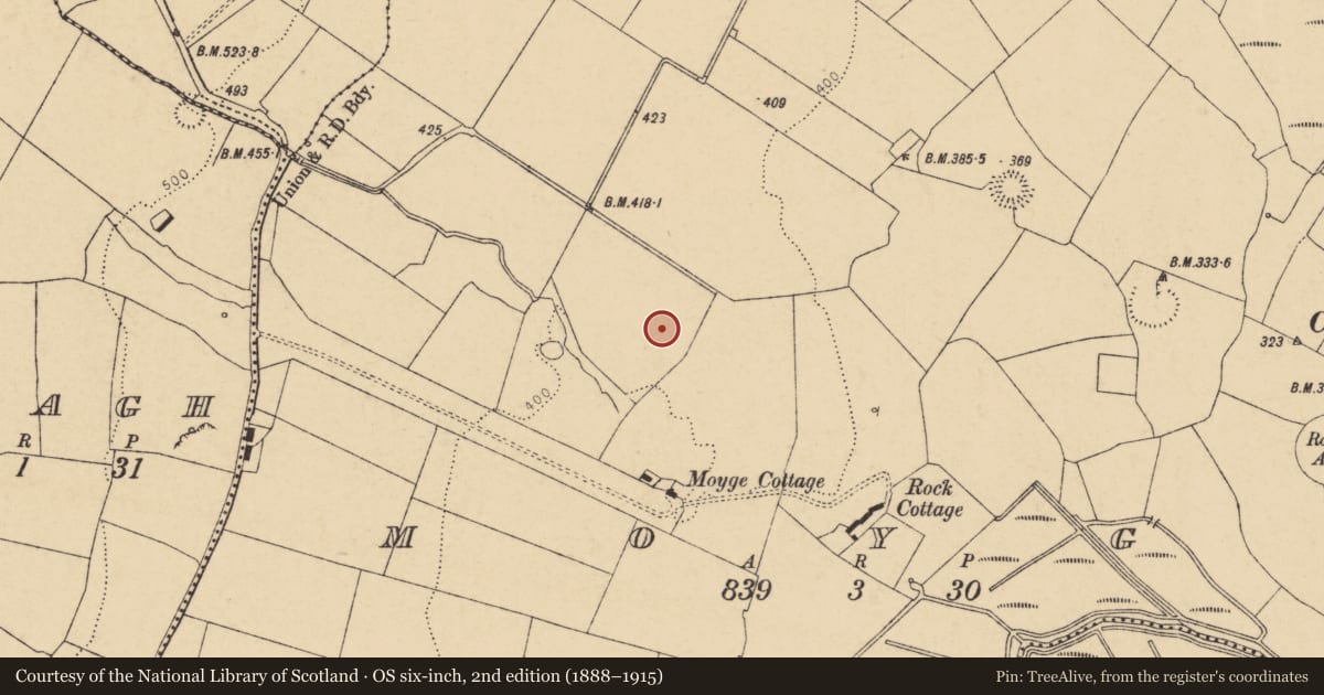 Ordnance Survey six-inch map, 2nd edition (1888–1915) covering the location of Fulacht fia, Moyge, County Cork, with a pin at the register's coordinates