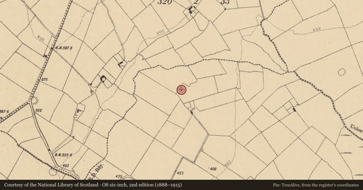Ordnance Survey six-inch map, 2nd edition (1888–1915) covering the location of Ringfort - rath, Moyge, County Cork, with a pin at the register's coordinates