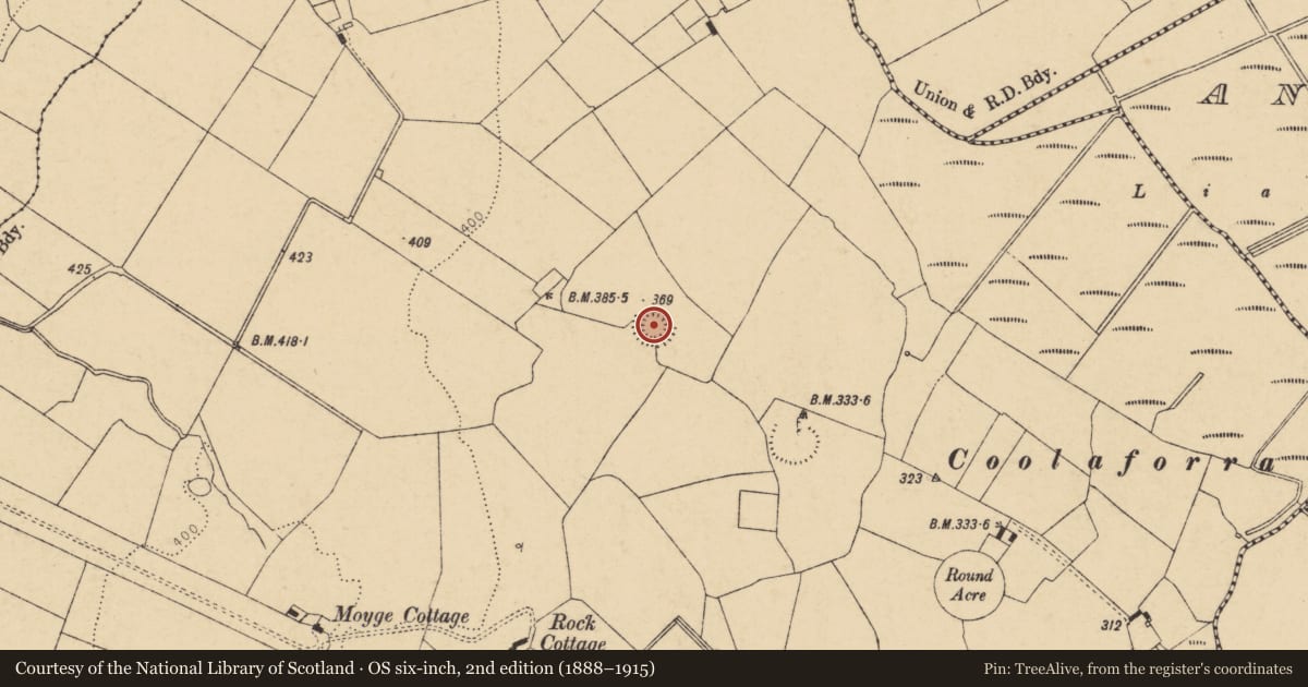 Ordnance Survey six-inch map, 2nd edition (1888–1915) covering the location of Ringfort - rath, Moyge, County Cork, with a pin at the register's coordinates