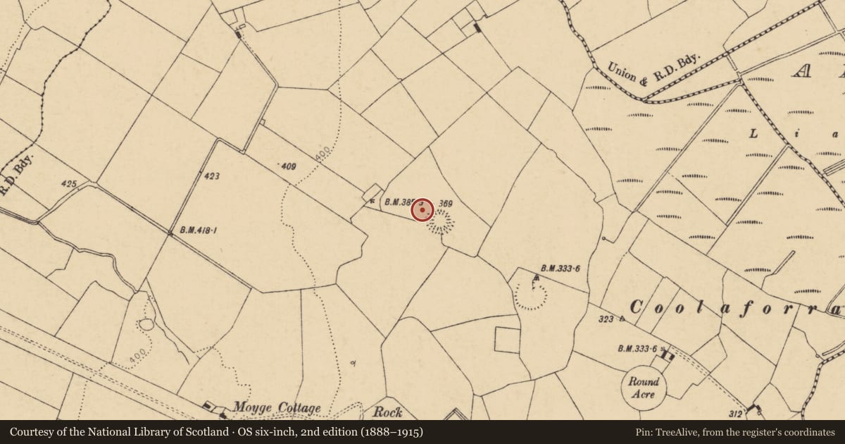 Ordnance Survey six-inch map, 2nd edition (1888–1915) covering the location of Enclosure, Moyge, County Cork, with a pin at the register's coordinates