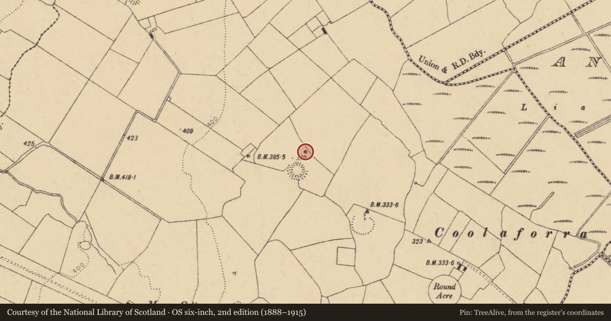 Ordnance Survey six-inch map, 2nd edition (1888–1915) covering the location of Enclosure, Moyge, County Cork, with a pin at the register's coordinates