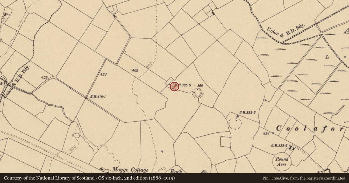 Ordnance Survey six-inch map, 2nd edition (1888–1915) covering the location of Enclosure, Moyge, County Cork, with a pin at the register's coordinates