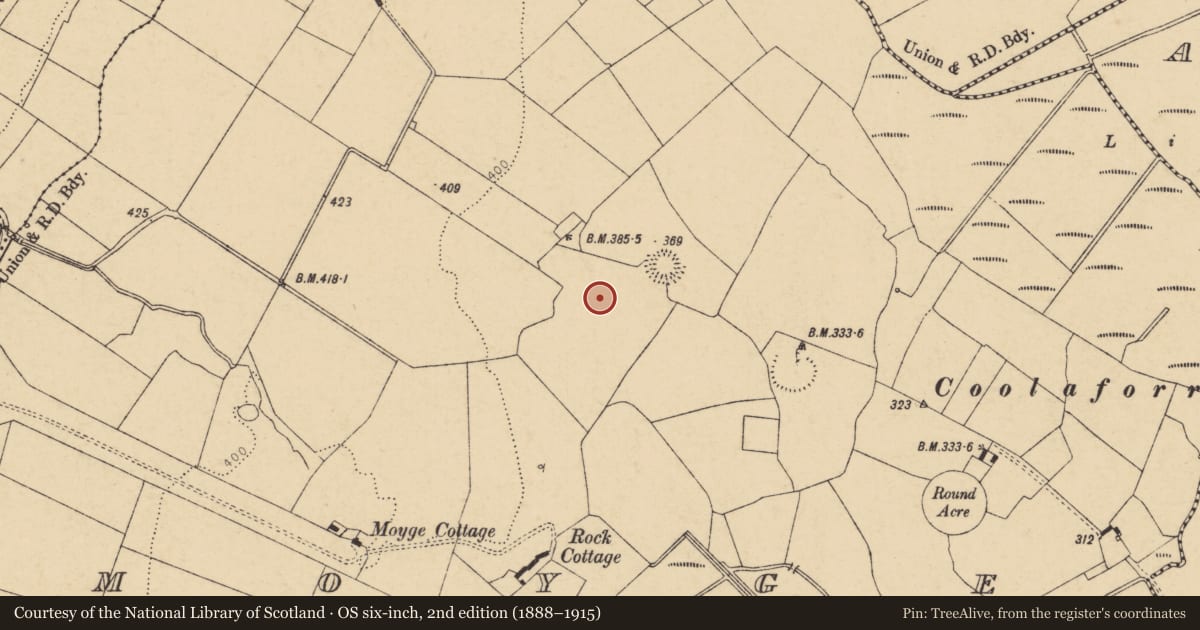 Ordnance Survey six-inch map, 2nd edition (1888–1915) covering the location of Enclosure, Moyge, County Cork, with a pin at the register's coordinates