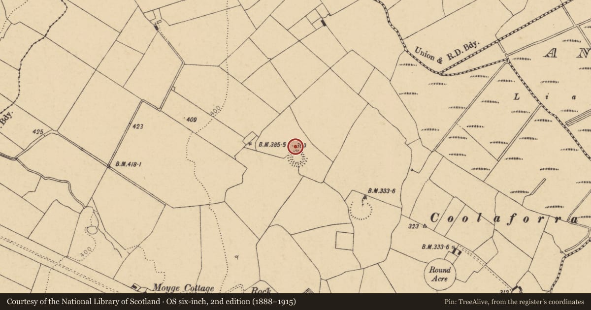 Ordnance Survey six-inch map, 2nd edition (1888–1915) covering the location of Field system, Moyge, County Cork, with a pin at the register's coordinates