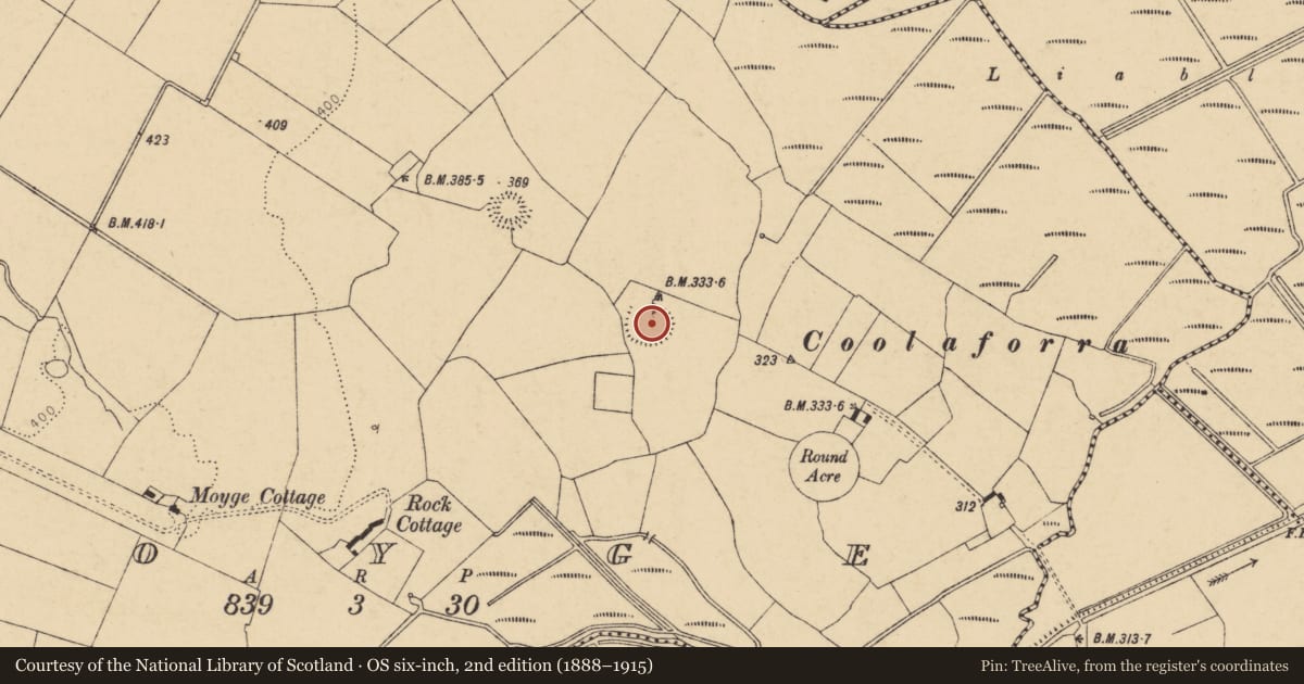 Ordnance Survey six-inch map, 2nd edition (1888–1915) covering the location of Burial ground, Moyge, County Cork, with a pin at the register's coordinates