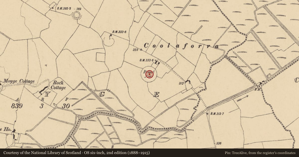 Ordnance Survey six-inch map, 2nd edition (1888–1915) covering the location of Enclosure, Moyge, County Cork, with a pin at the register's coordinates