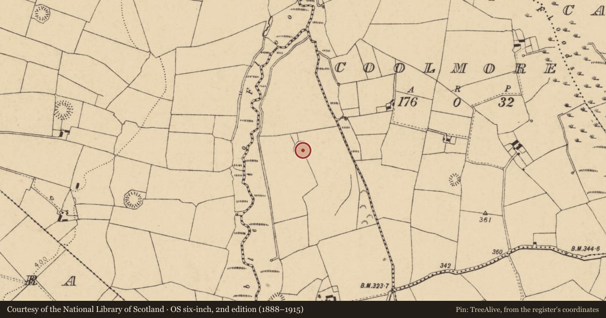 Ordnance Survey six-inch map, 2nd edition (1888–1915) covering the location of Ringfort - rath, Lackeen, County Cork, with a pin at the register's coordinates