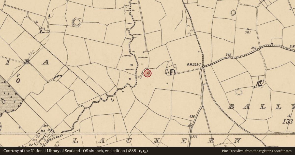 Ordnance Survey six-inch map, 2nd edition (1888–1915) covering the location of Ringfort - rath, Lackeen, County Cork, with a pin at the register's coordinates