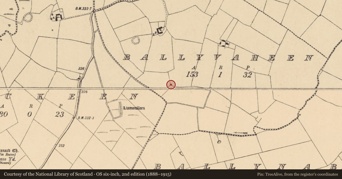 Ordnance Survey six-inch map, 2nd edition (1888–1915) covering the location of Fulacht fia, Ballyvaheen, County Cork, with a pin at the register's coordinates