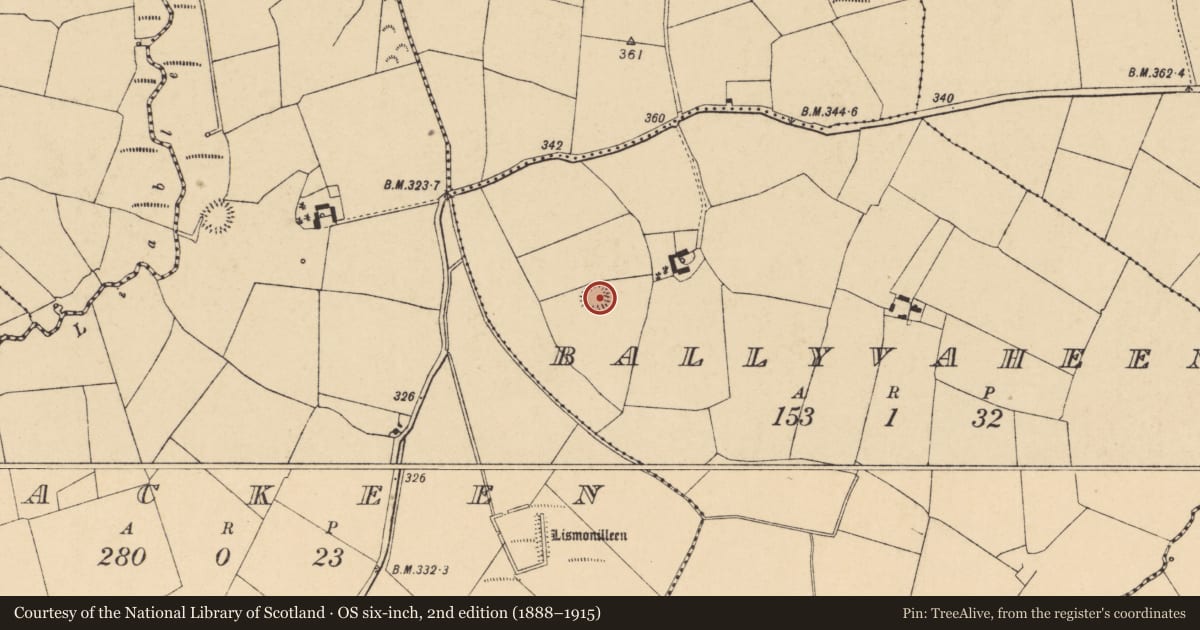 Ordnance Survey six-inch map, 2nd edition (1888–1915) covering the location of Ringfort - rath, Ballyvaheen, County Cork, with a pin at the register's coordinates