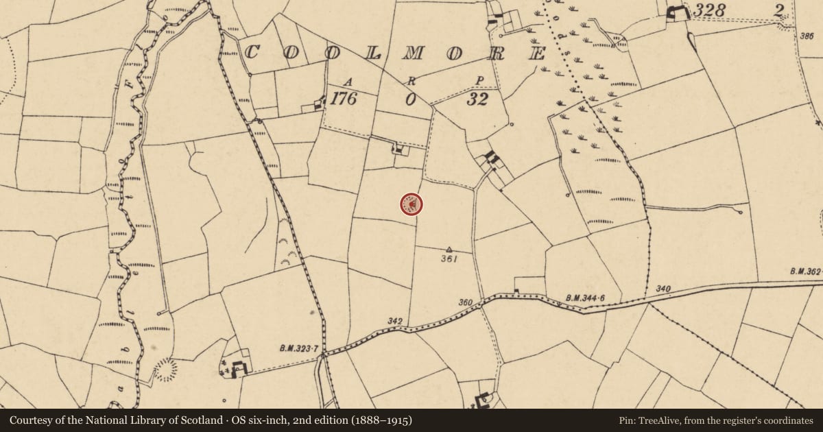 Ordnance Survey six-inch map, 2nd edition (1888–1915) covering the location of Ringfort - rath, Coolmore, County Cork, with a pin at the register's coordinates