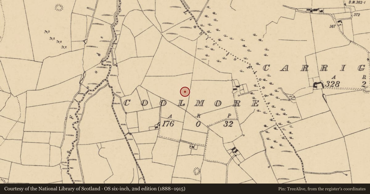 Ordnance Survey six-inch map, 2nd edition (1888–1915) covering the location of Barrow - ring-barrow, Coolmore, County Cork, with a pin at the register's coordinates