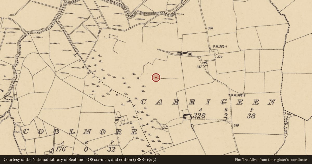 Ordnance Survey six-inch map, 2nd edition (1888–1915) covering the location of Ringfort - rath, Carrigeen, County Cork, with a pin at the register's coordinates