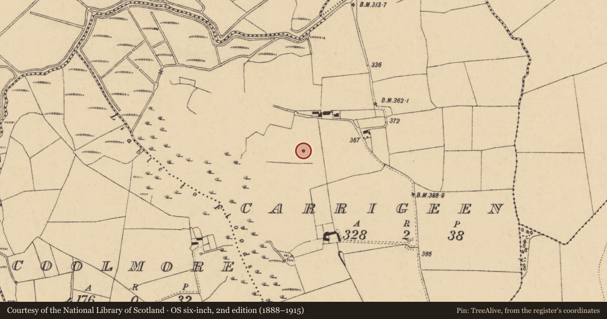 Ordnance Survey six-inch map, 2nd edition (1888–1915) covering the location of Ringfort - rath, Carrigeen, County Cork, with a pin at the register's coordinates