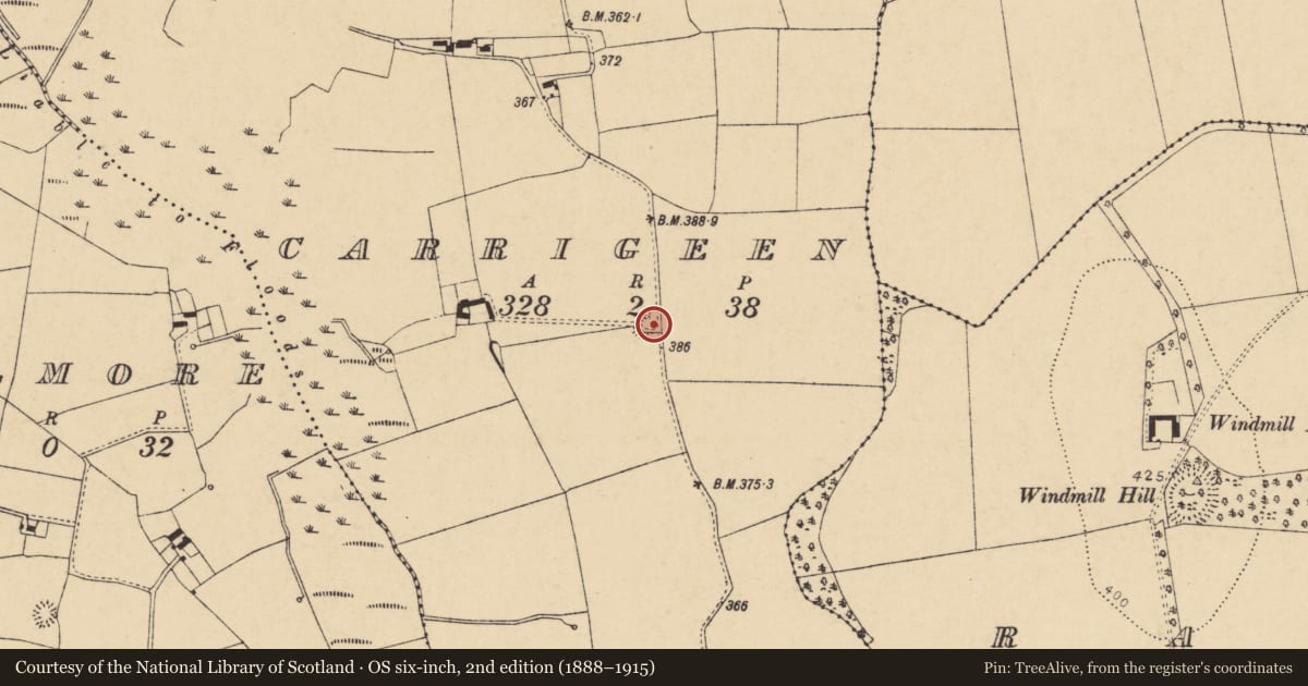 Ordnance Survey six-inch map, 2nd edition (1888–1915) covering the location of Ringfort - rath, Carrigeen, County Cork, with a pin at the register's coordinates