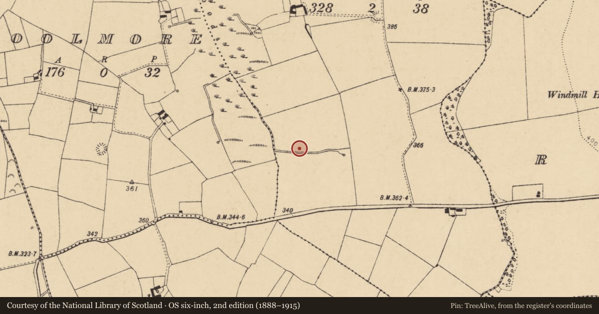 Ordnance Survey six-inch map, 2nd edition (1888–1915) covering the location of Fulacht fia, Carrigeen, County Cork, with a pin at the register's coordinates