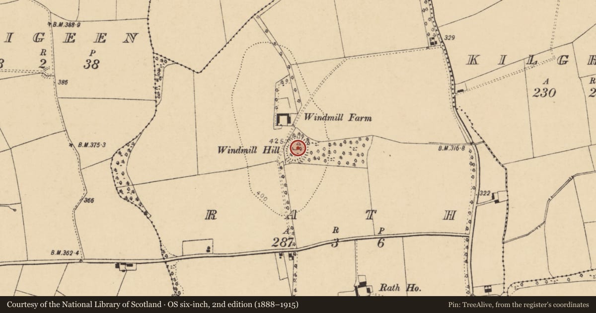 Ordnance Survey six-inch map, 2nd edition (1888–1915) covering the location of Windmill, Rath, County Cork, with a pin at the register's coordinates