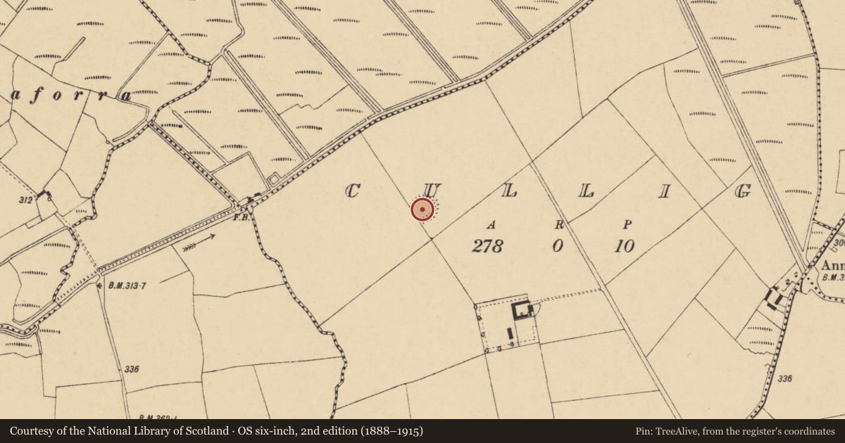 Ordnance Survey six-inch map, 2nd edition (1888–1915) covering the location of Ringfort - rath, Cullig, County Cork, with a pin at the register's coordinates