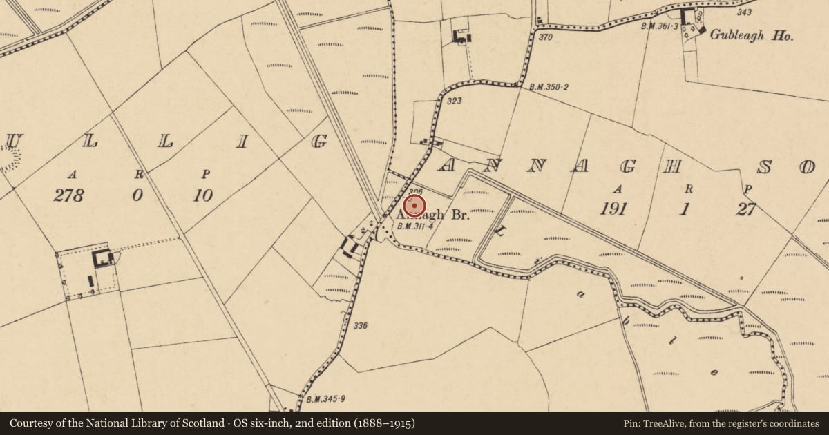 Ordnance Survey six-inch map, 2nd edition (1888–1915) covering the location of Castle - unclassified, Annagh South, County Cork, with a pin at the register's coordinates