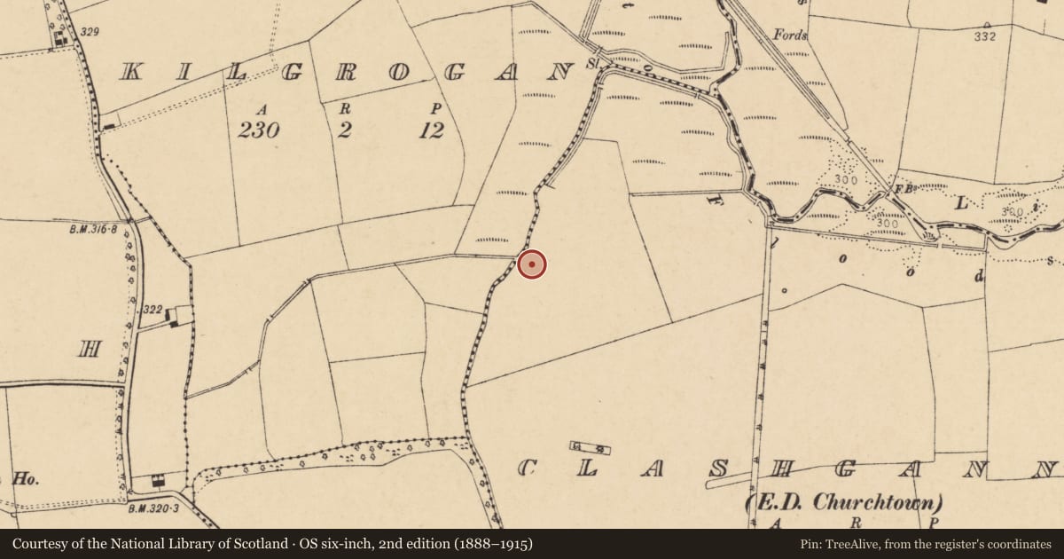 Ordnance Survey six-inch map, 2nd edition (1888–1915) covering the location of Barrow - ring-barrow, Clashganniv (Orrery and Kilmore By., Churchtown Par.), County Cork, with a pin at the register's coordinates
