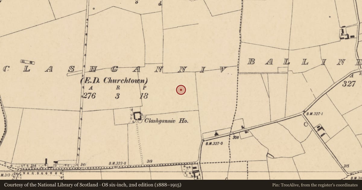 Ordnance Survey six-inch map, 2nd edition (1888–1915) covering the location of Ringfort - rath, Clashganniv (Orrery and Kilmore By., Churchtown Par.), County Cork, with a pin at the register's coordinates