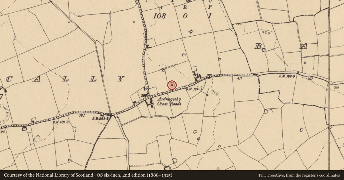 Ordnance Survey six-inch map, 2nd edition (1888–1915) covering the location of Church, Clashganniv (Orrery and Kilmore By., Rathgoggan Par.), County Cork, with a pin at the register's coordinates