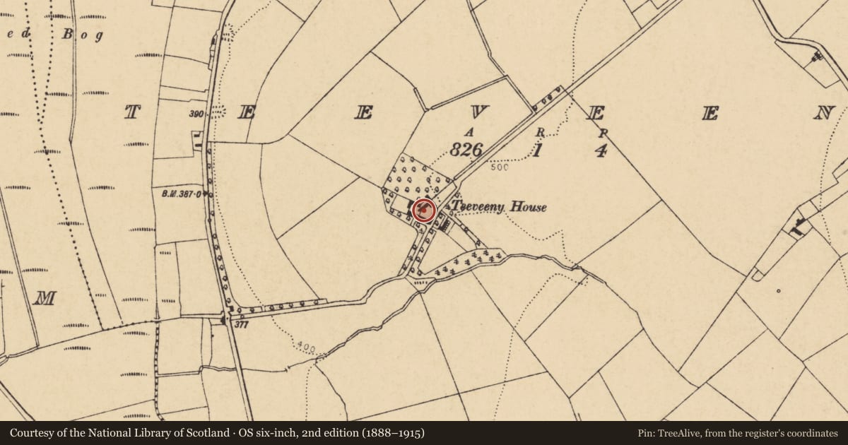 Ordnance Survey six-inch map, 2nd edition (1888–1915) covering the location of Stone sculpture, Teeveeny, County Cork, with a pin at the register's coordinates