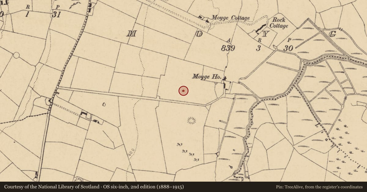 Ordnance Survey six-inch map, 2nd edition (1888–1915) covering the location of Kiln - lime, Moyge, County Cork, with a pin at the register's coordinates
