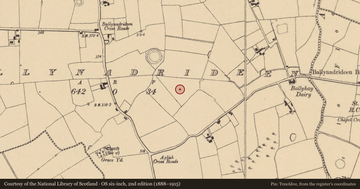 Ordnance Survey six-inch map, 2nd edition (1888–1915) covering the location of Excavation - miscellaneous, Ballynadrideen, County Cork, with a pin at the register's coordinates